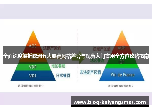 全面深度解析欧洲五大联赛风格差异与观赛入门实用全方位攻略指南